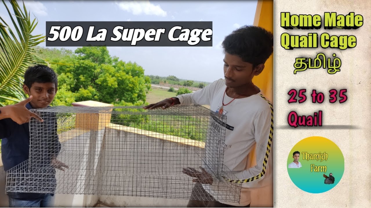 Kaadai koondu seivathu eppadi tamil // how to make quail cage at home