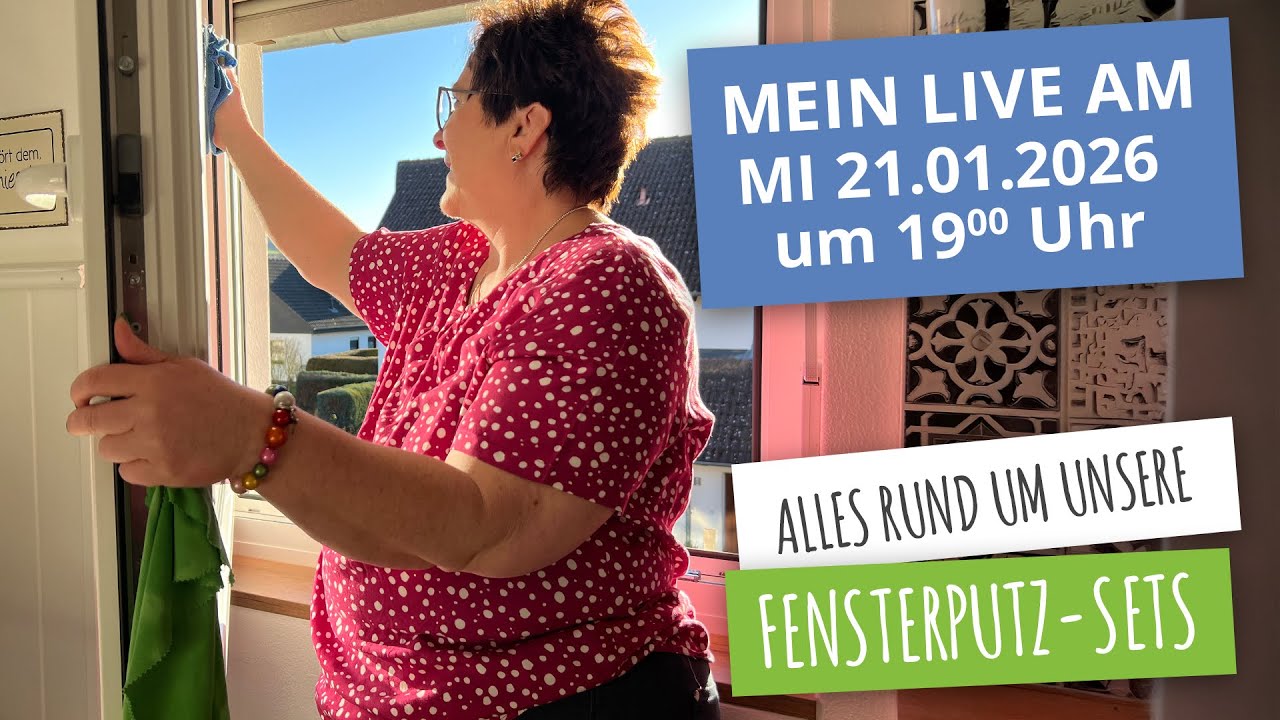 Fensterputzen leicht gemacht: Alle EASYCLEAN Fensterputz-Sets & Wischer vorgestellt! 💧✨