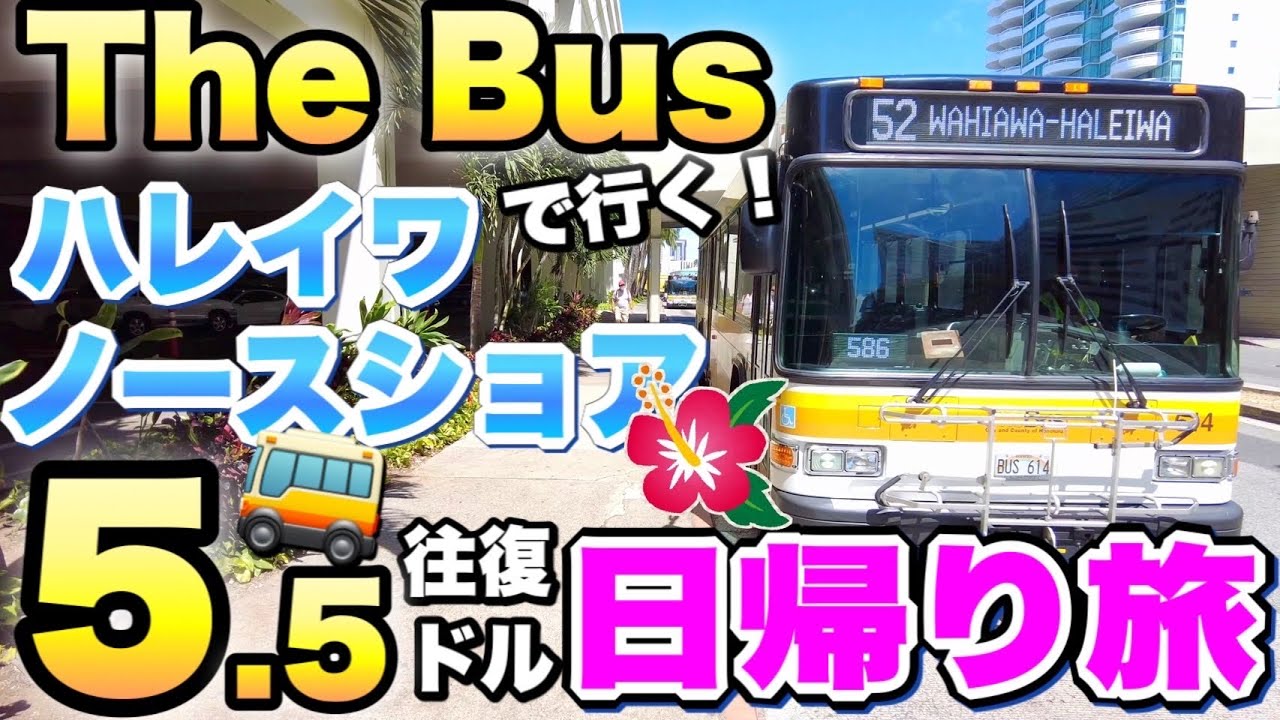 日帰り旅【往復５.５ドル】THE BUSで行くハレイワノースショア