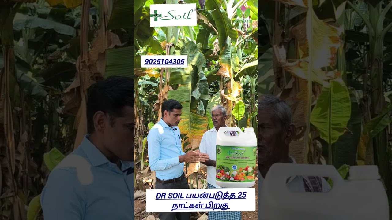 வாழையில் மோகோ பாக்டீரியல் நோயிலிருந்து விடுதலை 9025104305#organic#agriculture #bio#farming 