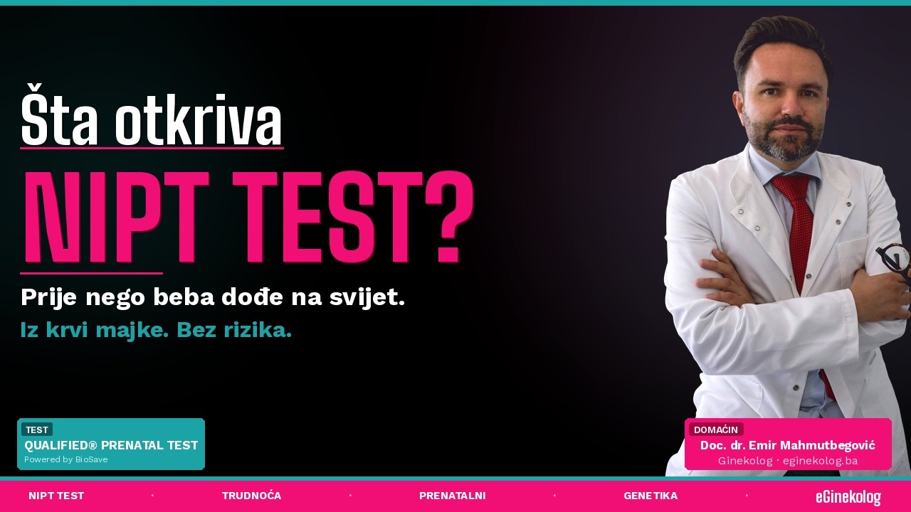 NIPT test - Neinvazni prenatalni test - eGINEKOLOG -  Emir Mahmutbegović.dr sci