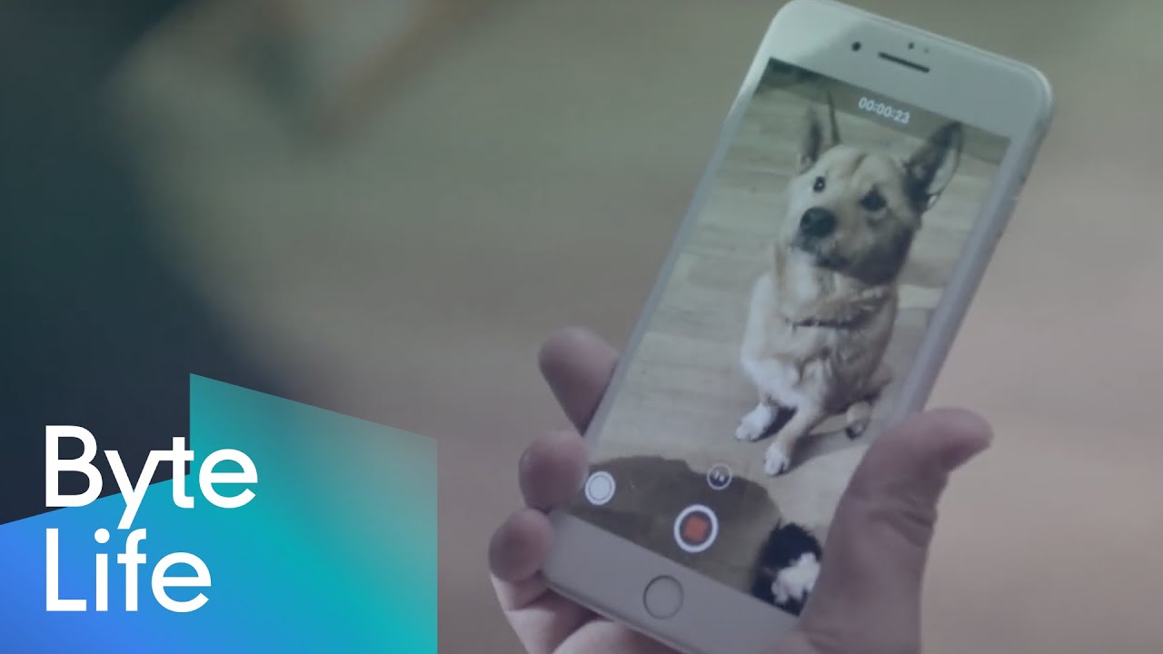 ByteDance User Story : Kim Kyoung Wook Uses TikTok to Help Stray Dogs in Osaka Find Owners
