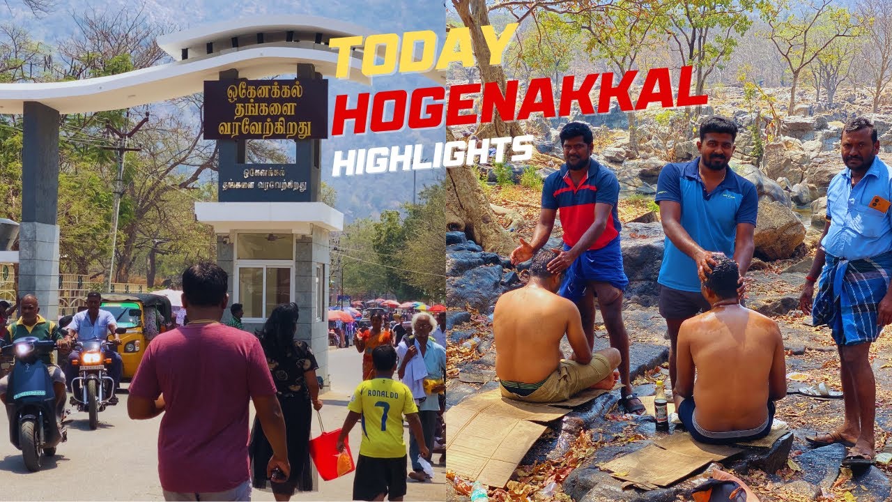 ✨Today ✅Hogenakkal Highlights😎 Every Turn😜 | All 💆‍♂️Activity Hogenakkal | Hogenakkal 💧Falls