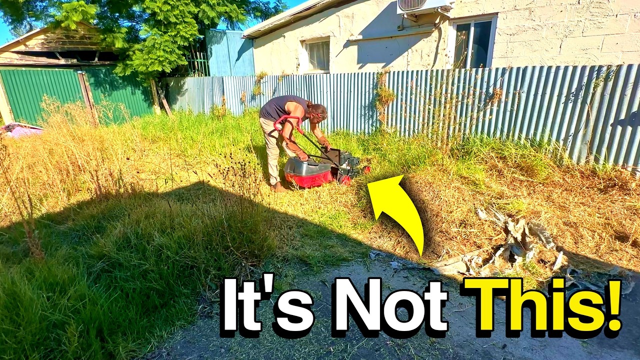 My Tools Were Useless On Her Disastrous Yard - So I Had To Use My Bare Hands!