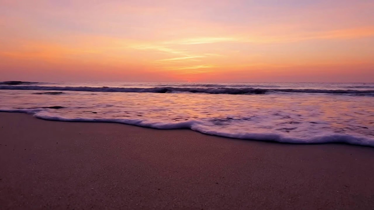 Relaxing Piano and Nature Ambience 🎶 Healing Music for Stress Relief