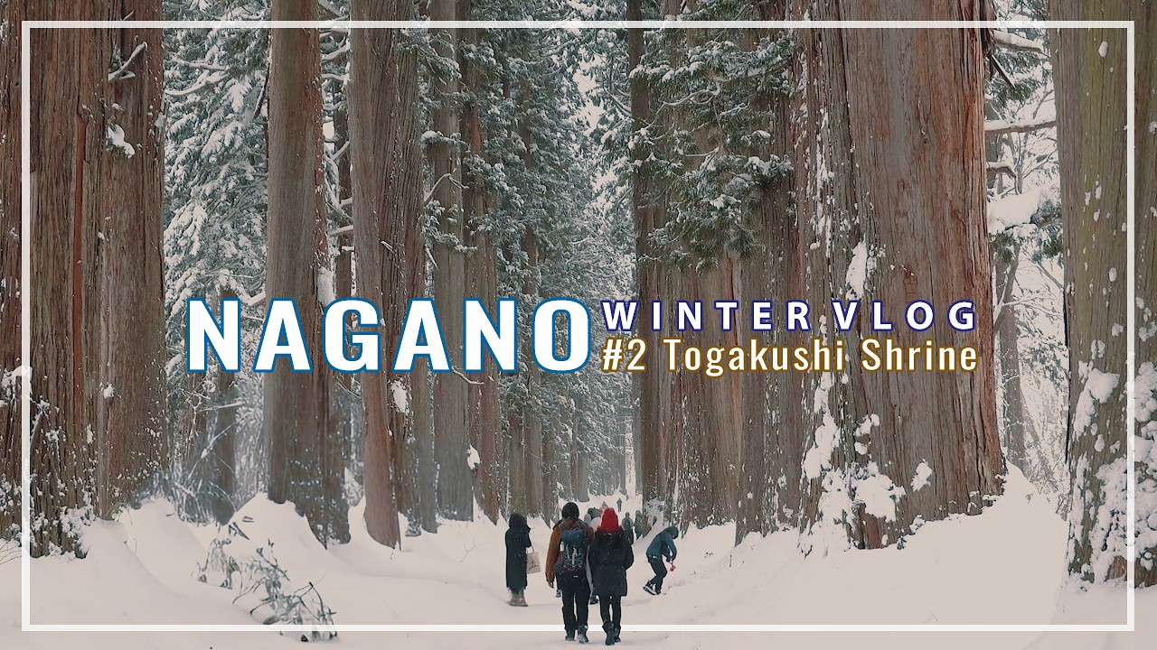 NAGANO | EP.2 Hiking giữa rừng tuyết Togakushi, khám phá hàng cây tuyết tùng 400 năm tuổi