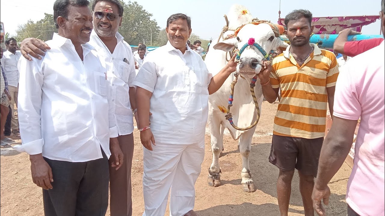 18/02/2026 వెంకటాపురం గ్రామంలో సీనియర్ విభాగంలో 3వ జత లావనూరు సురేంద్రబాబు గారు చౌడూరు