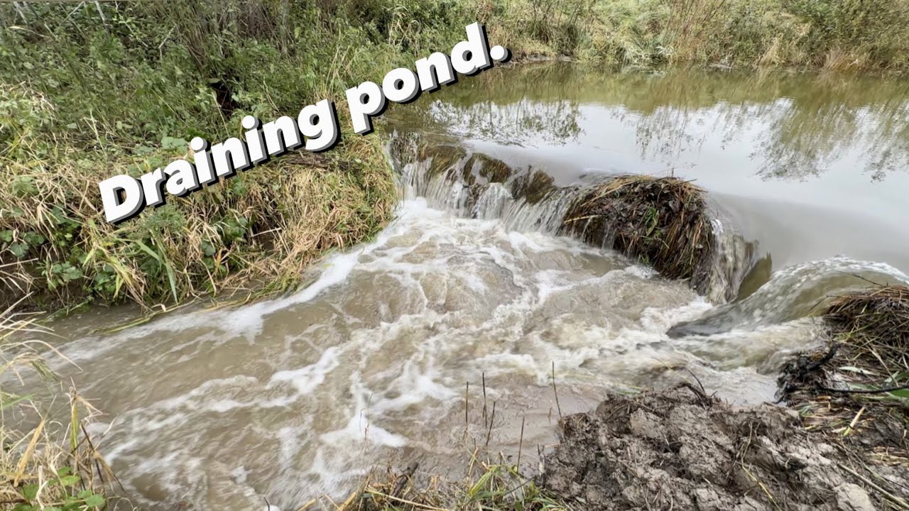 Draining Huge pond.