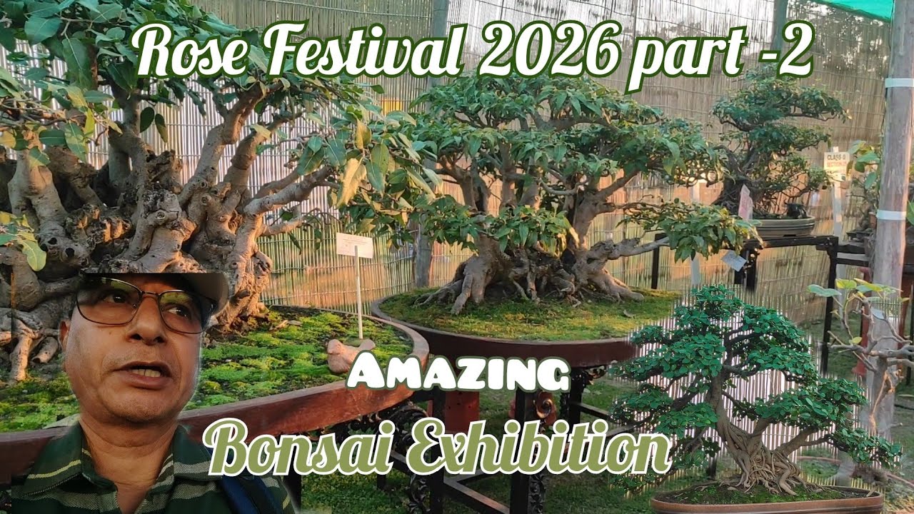 Rose Festival 2026||Part - 2||Bonsai Exhibition||Amazing
