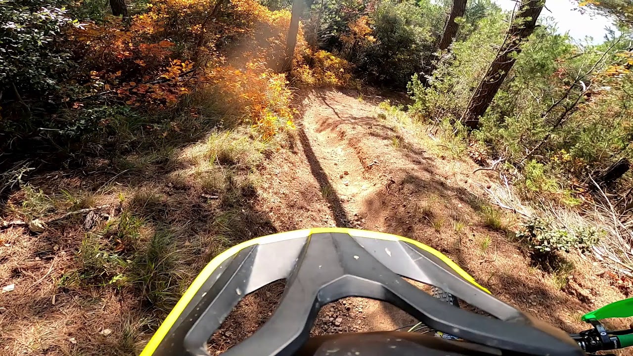 Sorci Verdi Freeride - Cesane (PU, Italy)