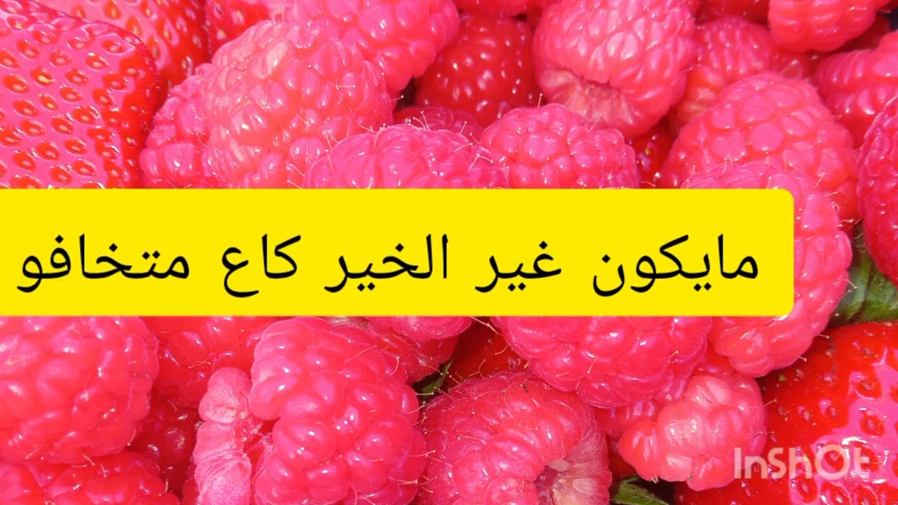 فوقاش غادي دوزو فاللجنة واشنو غادي يسلوكم وشكون لعندها الحق دوز كلشي فهاد الفيدو👉👈🍓🇲🇦🇪🇦🍓🍓