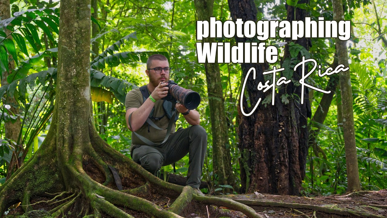 I did not expect to photograph something that special! - Wildlifephotography in Costa Rica