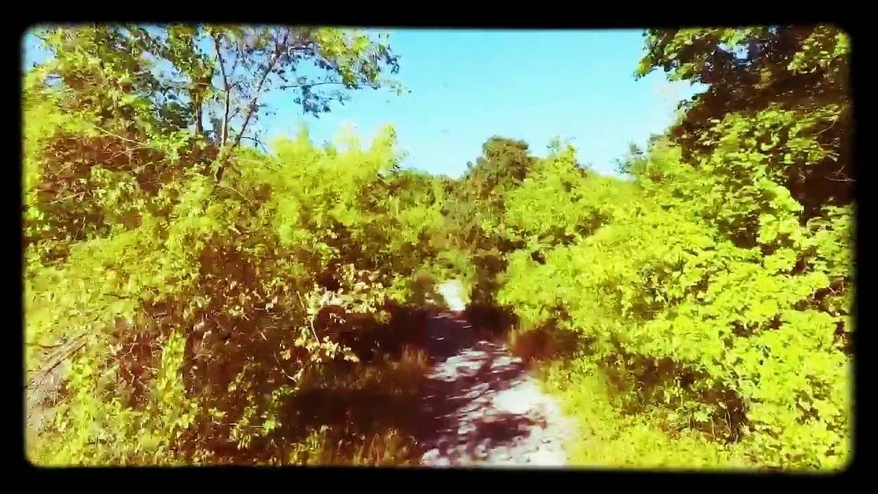 Norwich State Hospital 2016 - Pt. 2