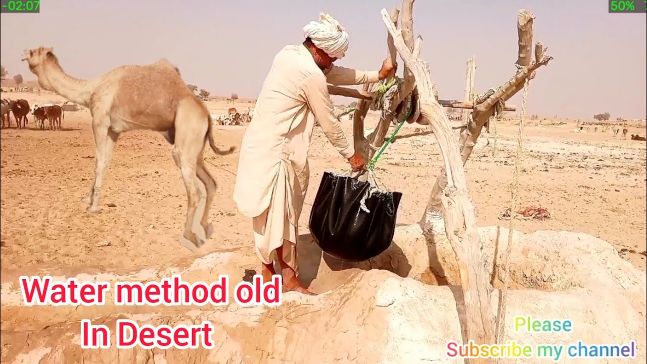 water Method in Desert with camel 🐪 Desert life still #desert #life #reels #beautiful