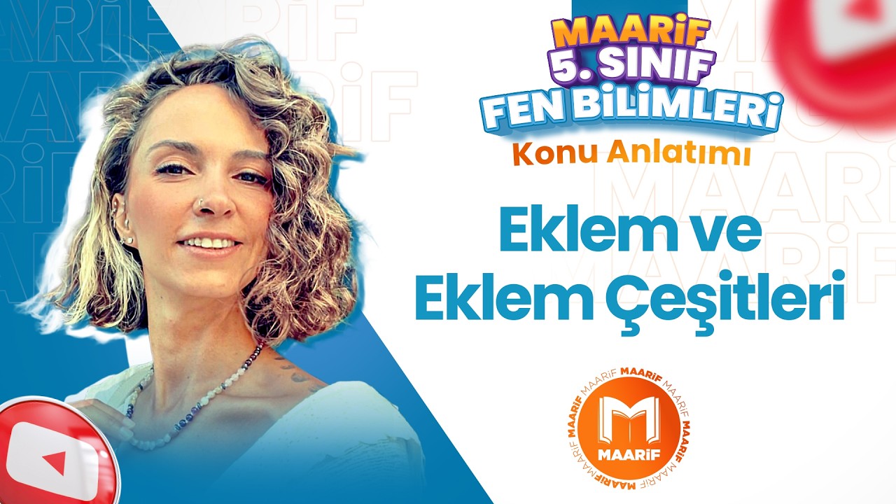 Eklem ve Eklem Çeşitleri | 5. Fen Bilimleri | Maarif Modeli | Ders 11