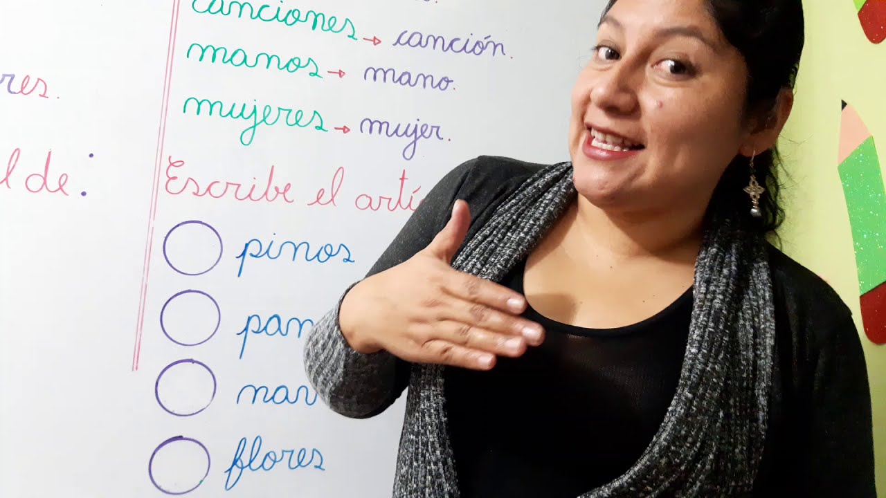 Clase Número del Sustantivo (Singular y Plural) para niños.