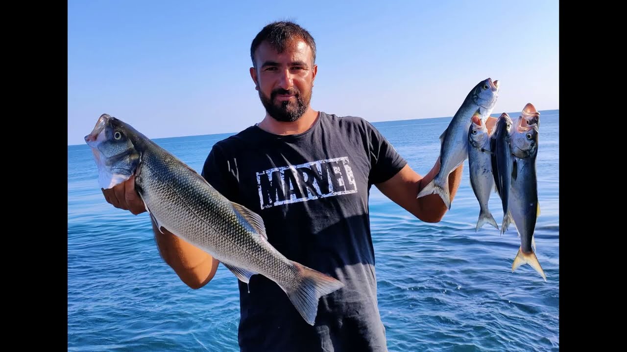 Lüfer Ve Levrek Avı Kerem Ayhan Usta Sinop - Hamsylos Av Marketi