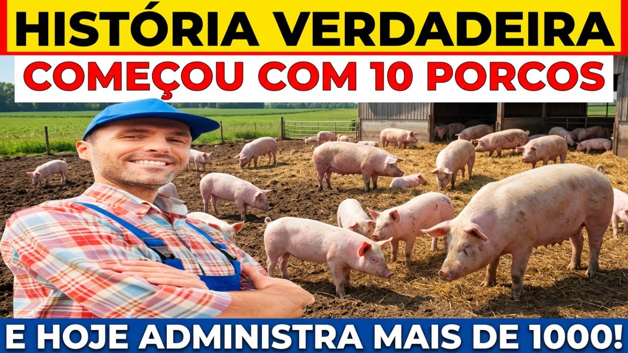 HISTÓRIA VERDADEIRA  Ele começou com apenas 10 porcos e hoje administra mais de 1000 porcos