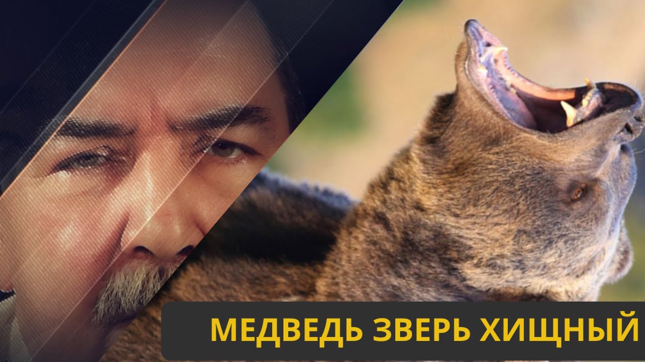 МЕДВЕДЬ - ЗВЕРЬ ХИЩНЫЙ