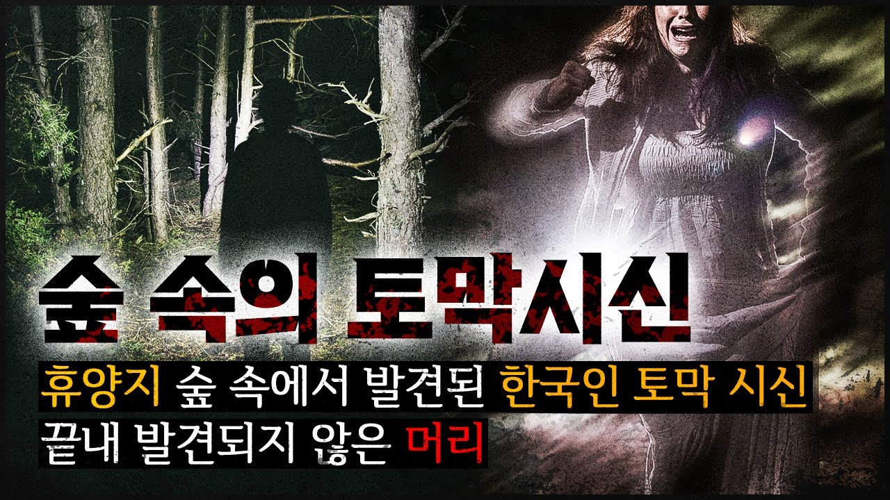 [숲 속의 비닐봉지] 입국기록도 없는 한국인이 휴양림에서 발견된 미스터리