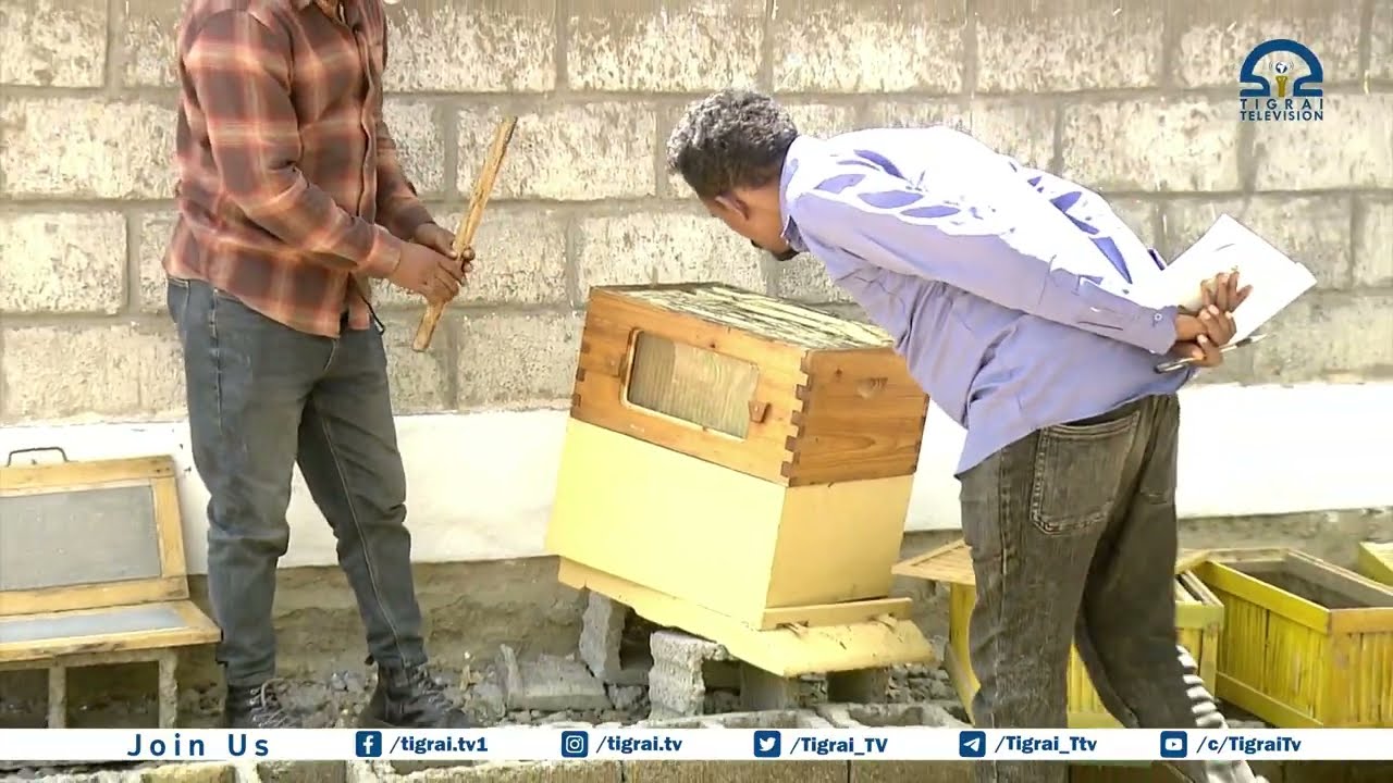 ኣብ ልምዓት ንህቢ ትግራይ ዝበፅሐ ዕንወት ንምሕዋይ ይሰርሕ ኣለኹ-ማእኸል ምርምርን ስልጠናን ንህቢ መቐለ