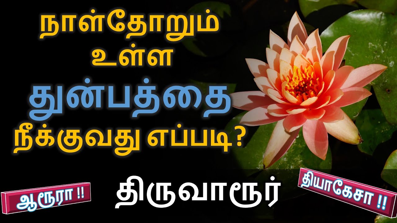 109 - நாள்தோறும் உள்ள துன்பத்தை நீக்குவது எப்படி? | சிவாக்கர தேசிக சுவாமிகள் | திருவாரூர்