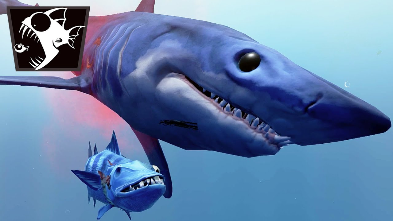 BARRACUDA VS REQUIN-TIGRE ! (Feed and Grow #90)