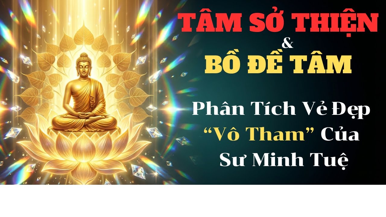 Tâm Sở Thiện & Bồ Đề Tâm: Phân Tích Vẻ Đẹp Vô Tham Của Sư Thích Minh Tuệ | Phật Học Đời Thường.