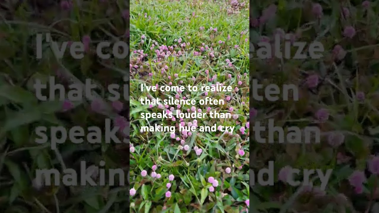 silence speaks louder than making hue and cry #youtubeshorts #quotes #nature
