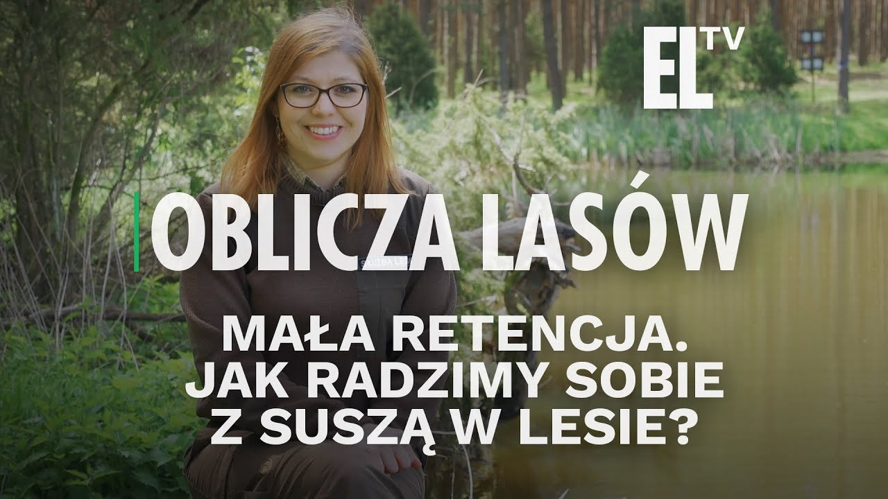 Mała retencja. Jak radzimy sobie z suszą w lesie? | Oblicza lasów #104