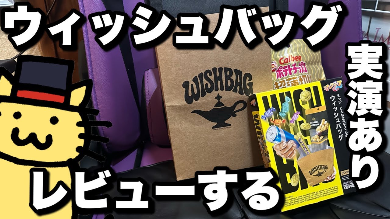 テンヨーさんの2026年新商品！ウィッシュバッグをレビューする！