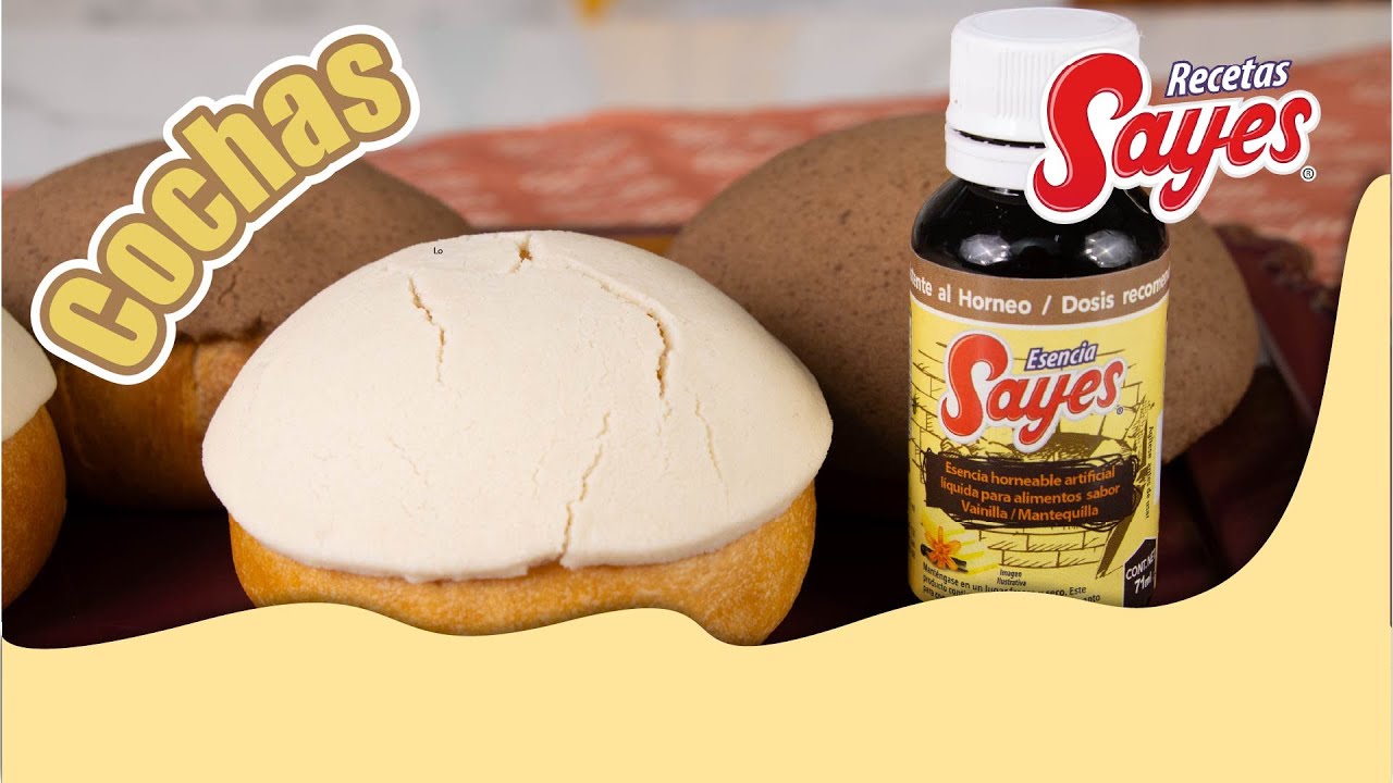☕🤎 Conchas caseras súper esponjositas