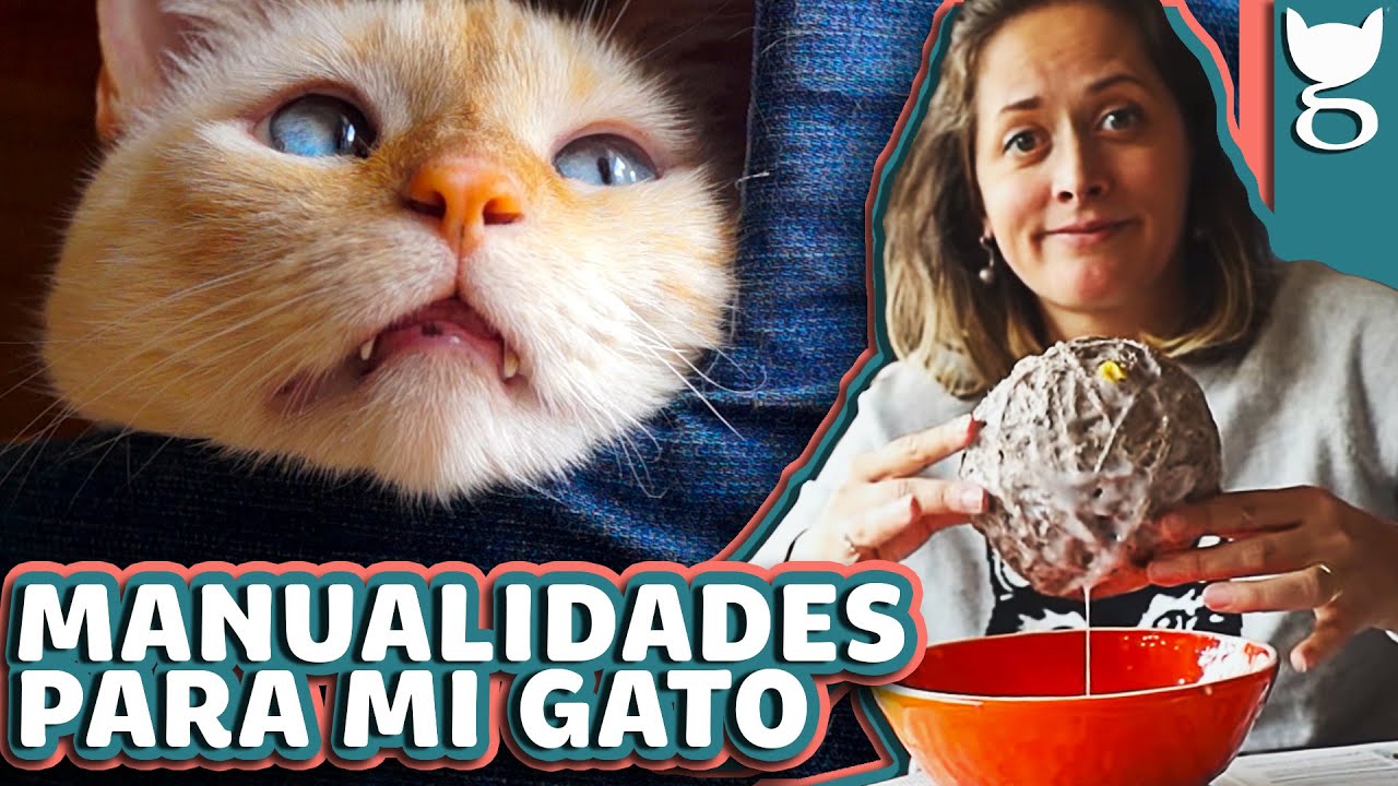 MANUALIDADES PARA MI GATO FÁCILES Y ECONÓMICAS 😻 LA GATERÍA TV