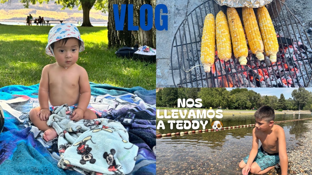 Primeras vez de mi bebe nos llevamos hasta la perra 👶🐶❌🐝.