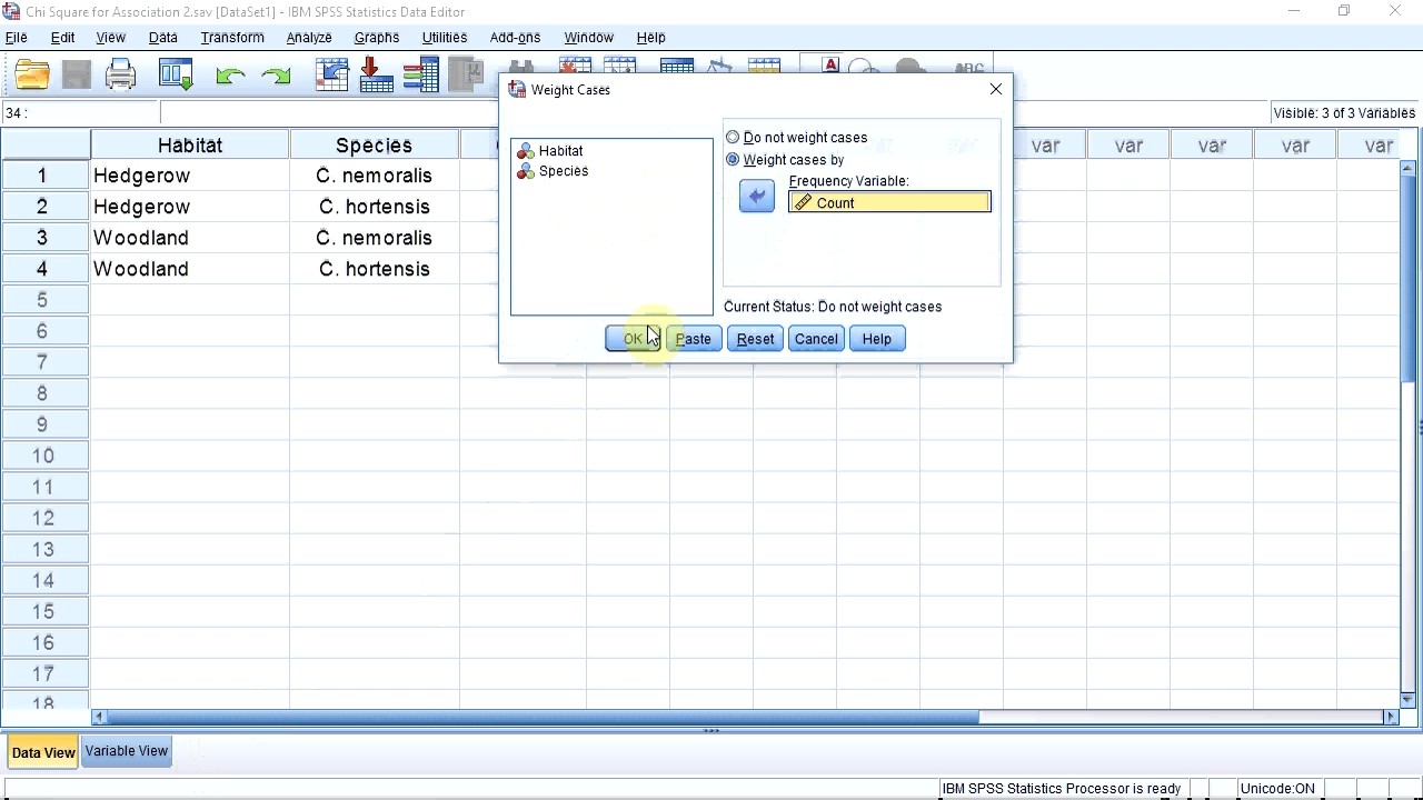 Chi-squared test for association with SPSS