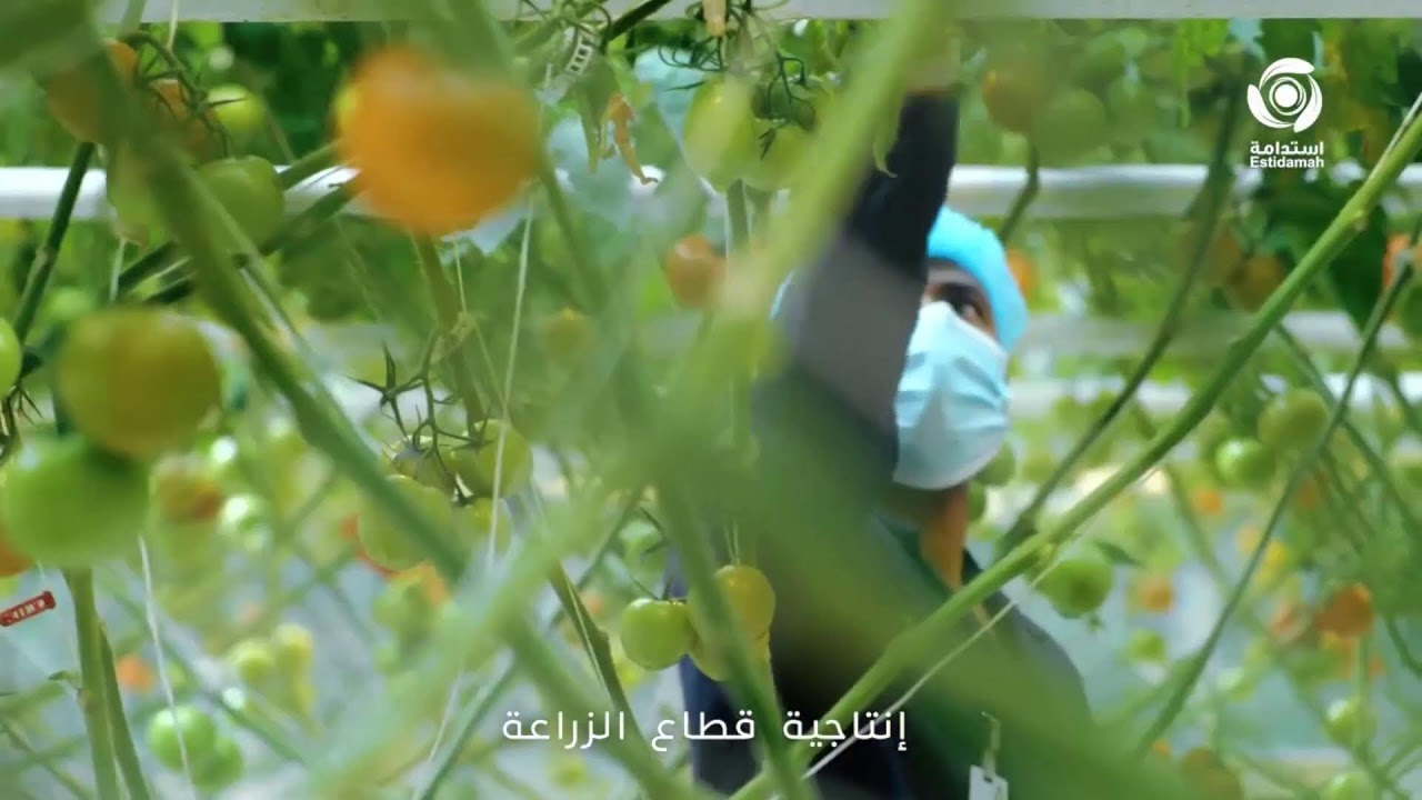 #بث_مباشر | ورشة عمل بعنوان ( آفاق علمية للزراعة باستخدام المياه المالحة )#مركز_استدامة