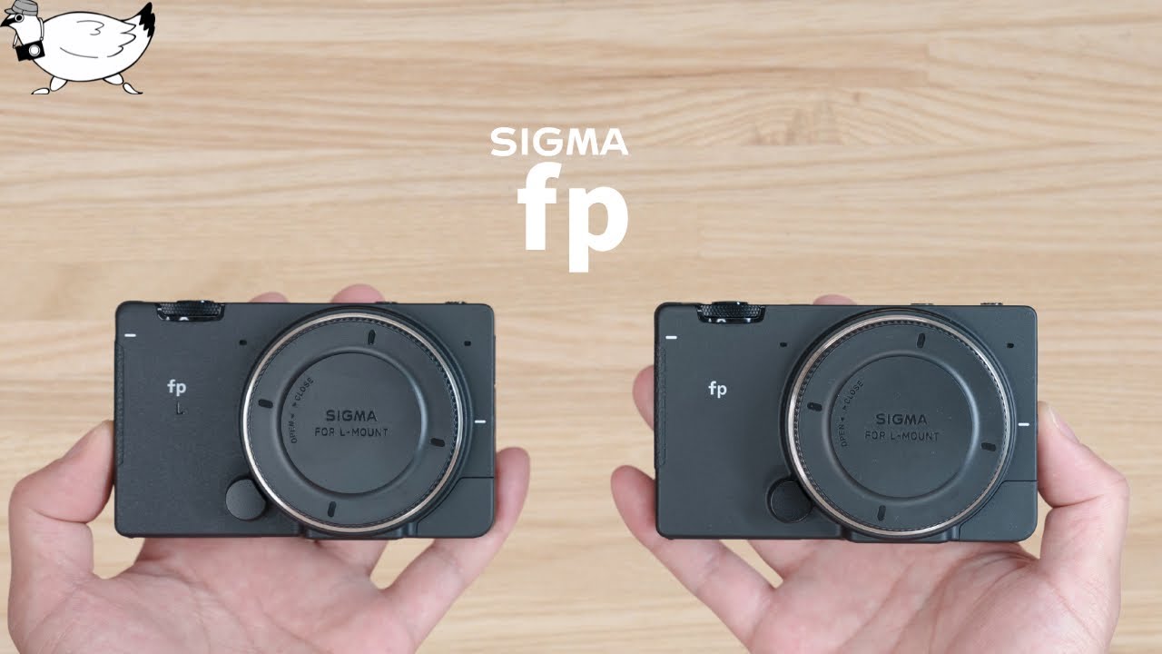 【機材入替】写真用カメラ買い替えました報告と理由【SIGMA fp & fp L】