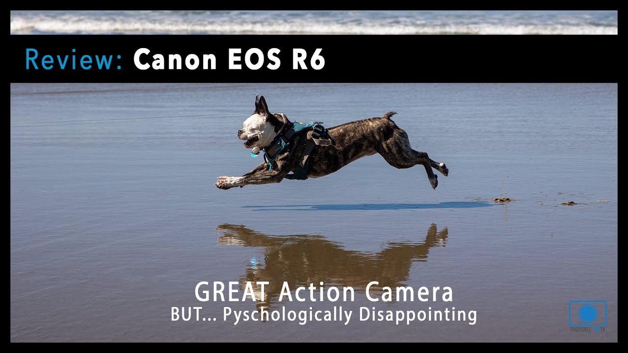 Canon EOS R6 REVIEW - I am Blown Away but also Psychologically Disappointed with the R6