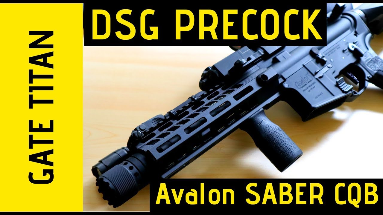 Gate TITAN DSG Precock - 400 FPS 40 RPS !! Trigger Response Build