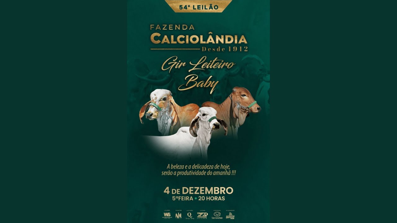 54º LEILÃO VIRTUAL FAZENDA CALCIOLÂNDIA - GIR LEITEIRO BABY | 04/12/2025 – 20H