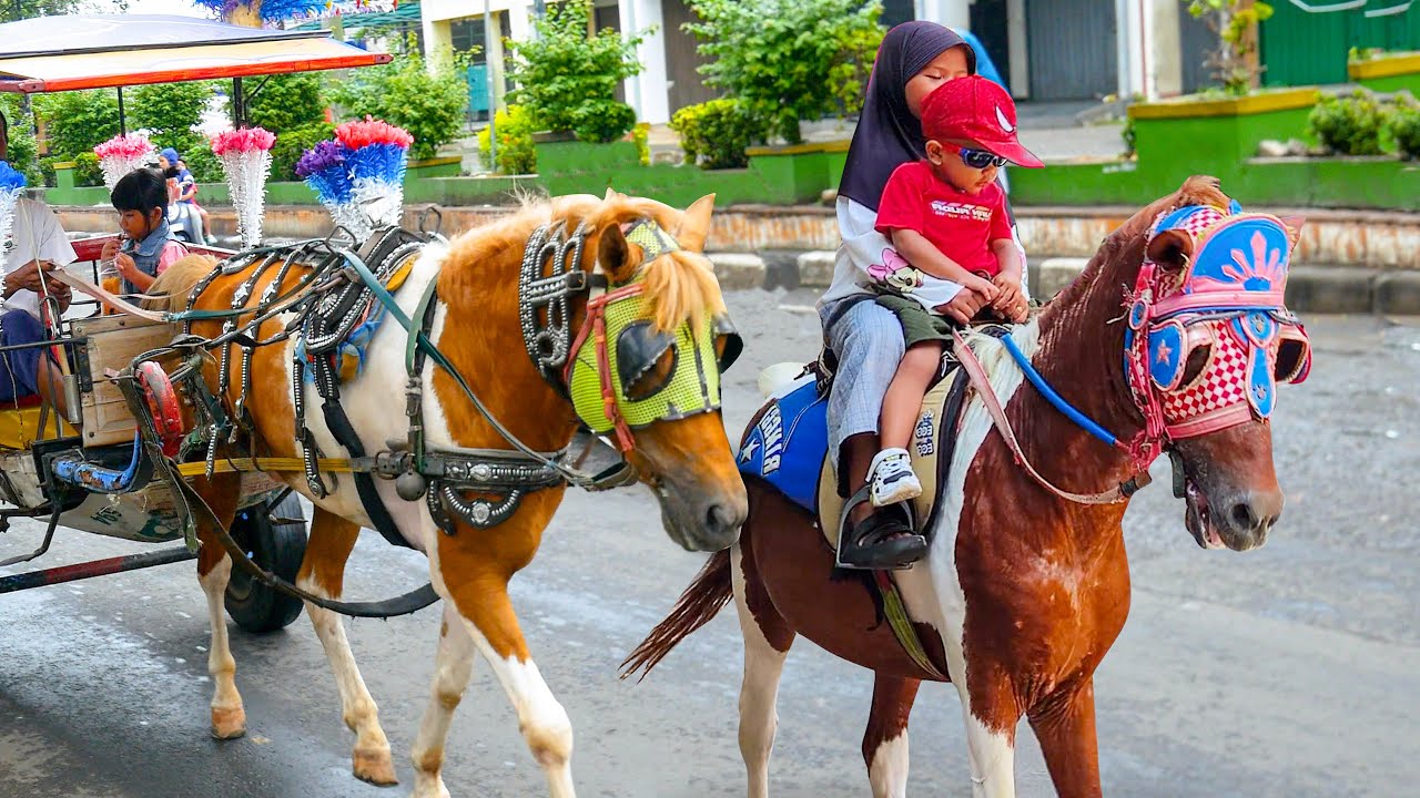 NAIK DELMAN ISTIMEWA 🐎 LAGU ANAK ANAK - KUDA DELMAN