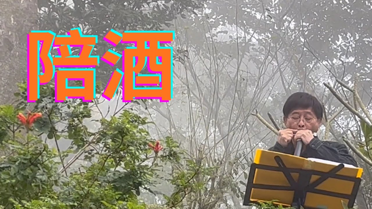 陪酒（口琴字幕版）