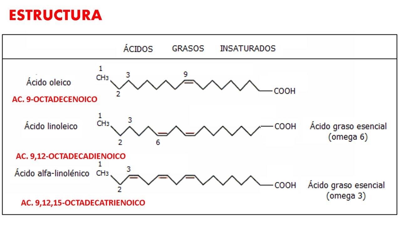 ÁCIDOS GRASOS ESENCIALES | ESTRUCTURA Y NOMENCLATURA OMEGA