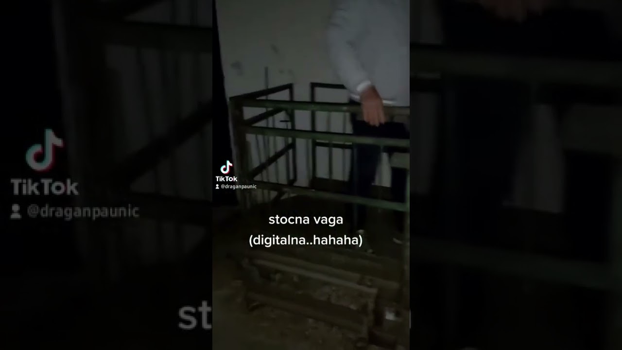 stocna vaga i ja #shorts