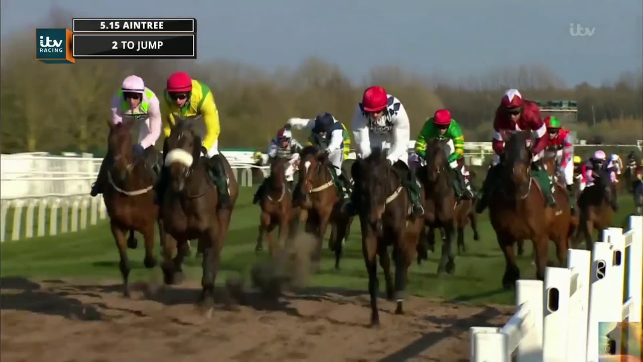 GRAND NATIONAL MEMORIES: 2019 TIGER ROLL
