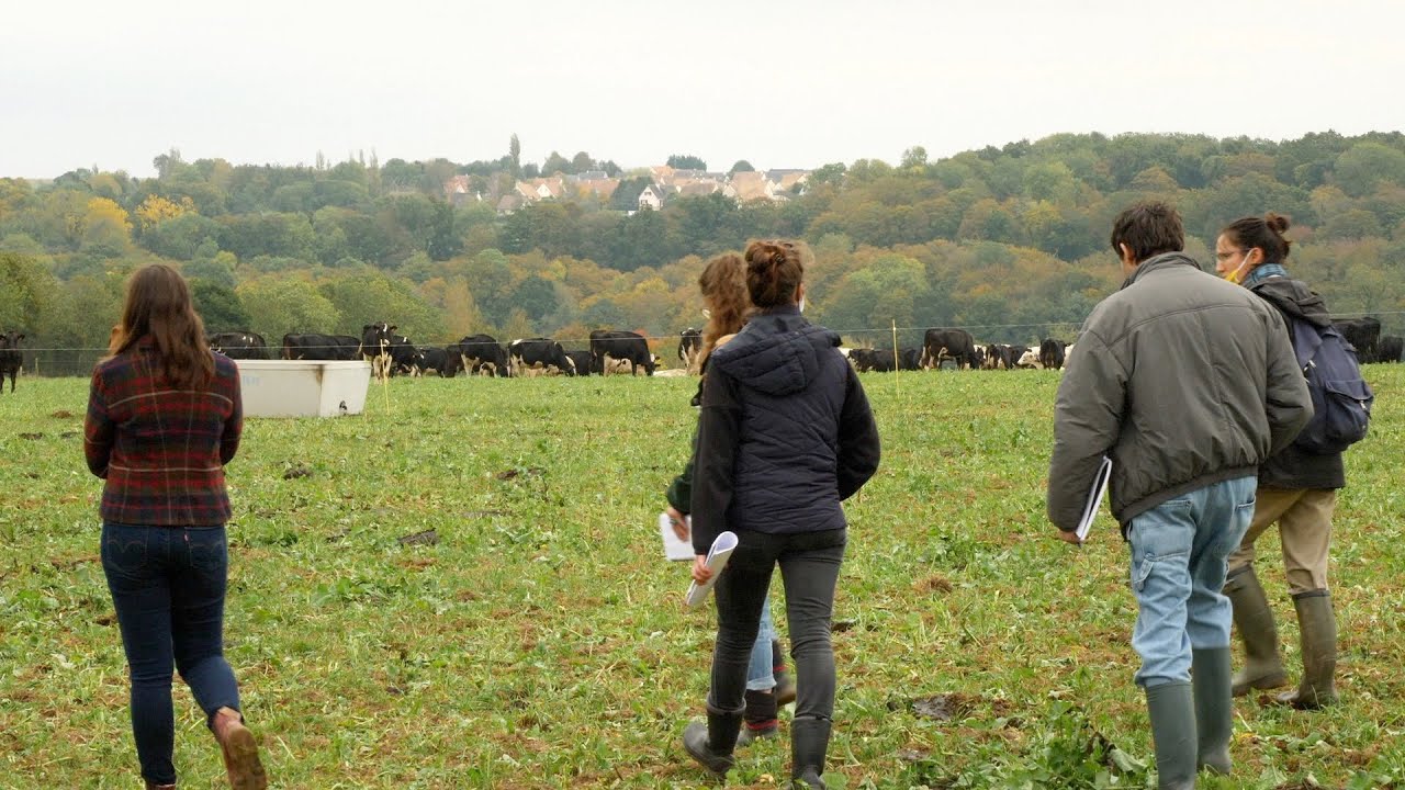 Voyage de découverte de l'élevage laitier bovin en Normandie