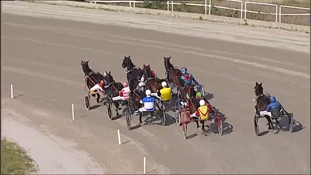 Napoli Trotto 09/03/2026 - 2ª corsa