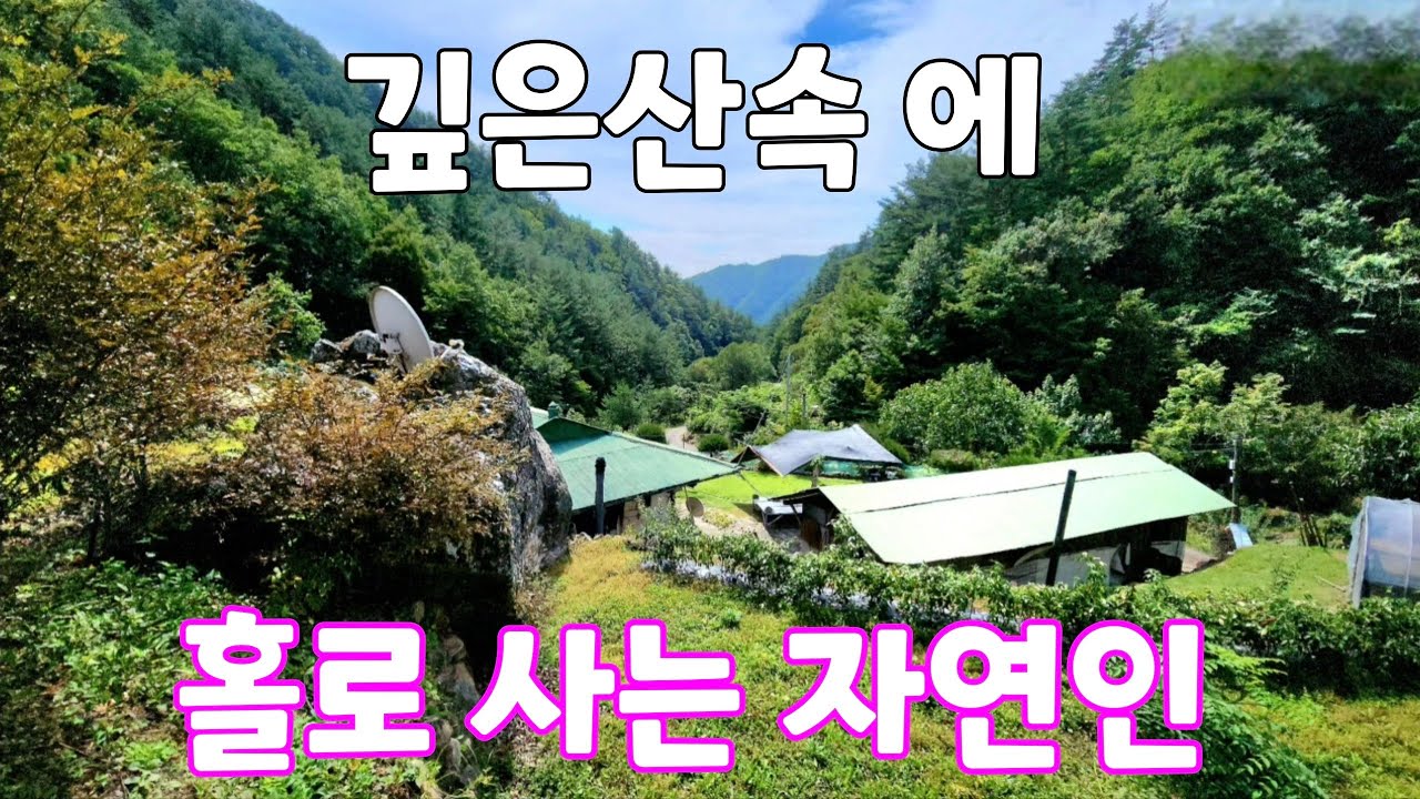 깊은산속 에 홀로사는 자연인 그 좋아하던 술도 다 끊었다고 합니다 