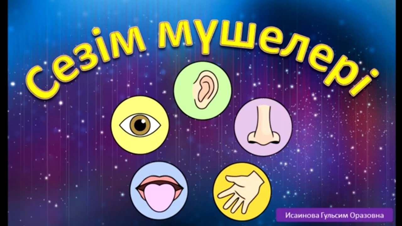 👁️👂👃👅🤚Сезім мүшелері қазақша мультфильм Органы чувств мультфильм на казахском сезим мушелери казакша