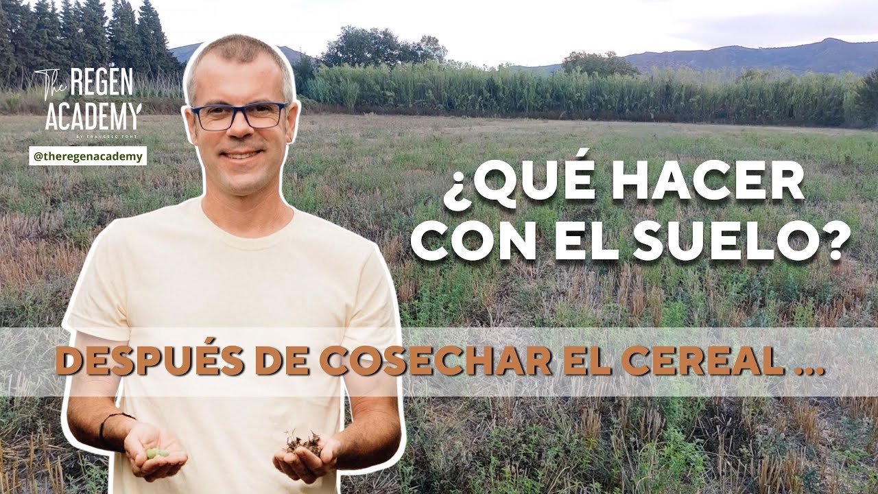 ¿Qué hacer con el suelo después de cosechar el cereal?